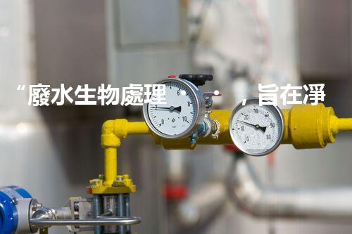 “廢水生物處理，旨在凈化水源，守護(hù)碧水藍(lán)天”